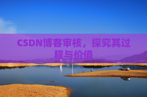 CSDN博客审核，探究其过程与价值